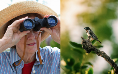 Ngắm chim: Liều thuốc tự nhiên chống lão hóa não