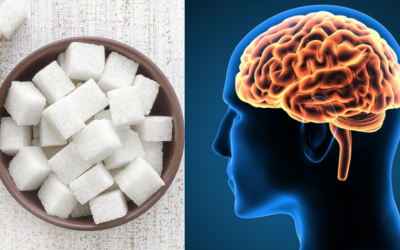 Não bộ thay đổi ra sao sau 1 tháng không ăn đường bổ sung?