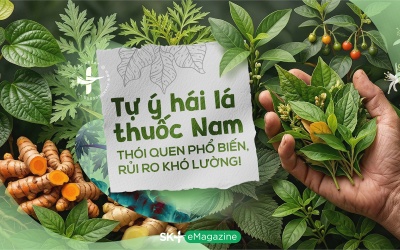 Tự ý hái lá thuốc Nam: Thói quen phổ biến, rủi ro khó lường!