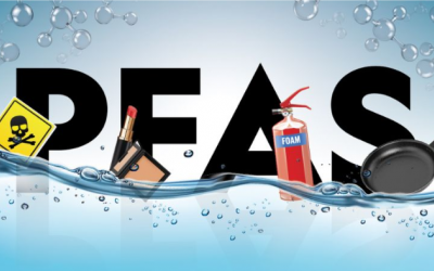 “Hóa chất vĩnh cửu” có thể ảnh hưởng đến xương của trẻ?