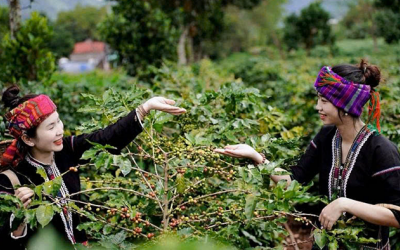 Du lịch Quảng Trị ngoài những điểm đến quen thuộc! (P2)