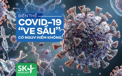 Podcast: Biến thể COVID-19 “ve sầu” có nguy hiểm không?