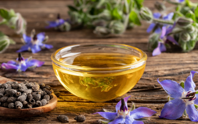 Cây lưu ly: Chứa thành phần hỗ trợ cải thiện da khô