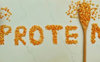 Liệu protein có liên quan đến sỏi thận?