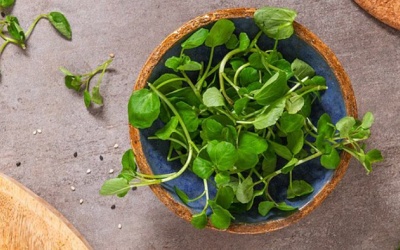 Loại rau được ca ngợi “tốt nhất thế giới”, bán đầy ở chợ Việt