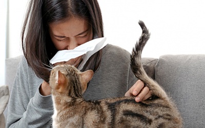 Cơ địa dị ứng có nuôi được chó mèo không?