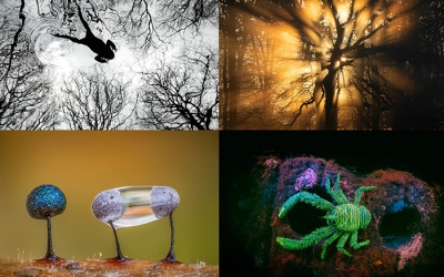 Những bức ảnh thiên nhiên hoang dã đẹp nhất nước Anh năm 2026