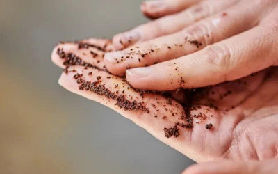 4 mẹo tận dụng bã cà phê dễ áp dụng
