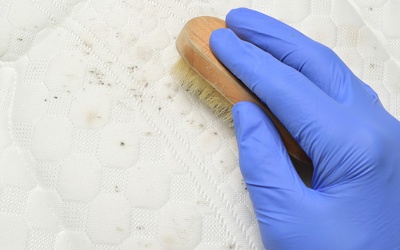 Cách xử lý quần áo ố vàng và nấm mốc