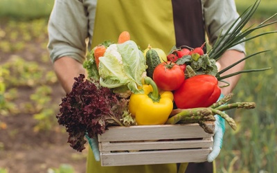 Thực phẩm hữu cơ không đồng nghĩa với an toàn thực phẩm tuyệt đối