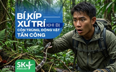 Podcast: Bí kíp xử trí khi bị côn trùng, động vật tấn công