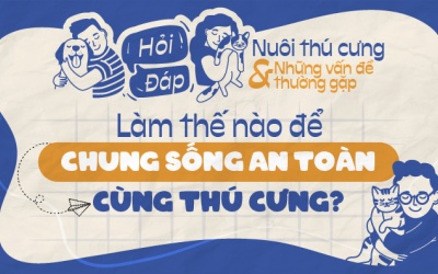 Làm thế nào để chung sống an toàn cùng thú cưng?