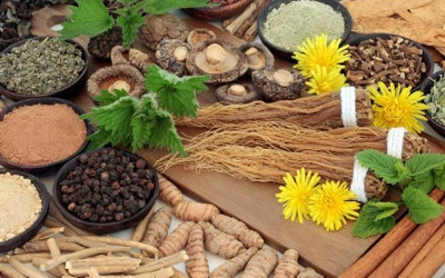 Thảo dược adaptogen hỗ trợ cơ thể ứng phó với căng thẳng