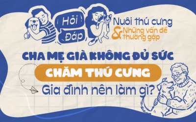 Cha mẹ già không đủ sức chăm thú cưng, gia đình nên làm gì?