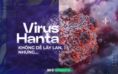 Virus Hanta không dễ lây lan, nhưng…