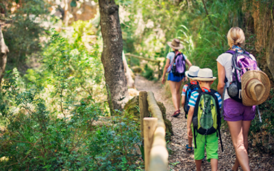 Khám phá 5 lợi ích vượt trội của bộ môn hiking 