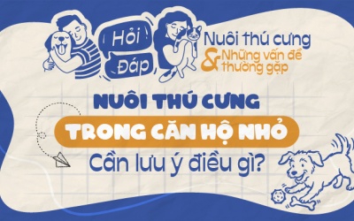 Nuôi thú cưng trong căn hộ nhỏ: Cần lưu ý điều gì?