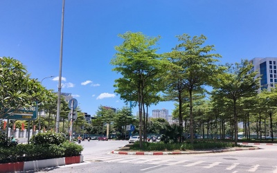 Bắc Bộ sắp có mưa giải nhiệt