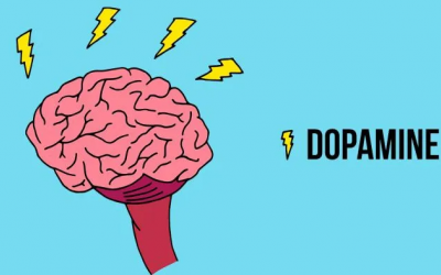 Dopamine giúp đảo ngược tình trạng Alzheimer?