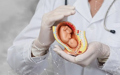 Tại sao cần tập trung phát triển chuyên ngành y học bào thai?