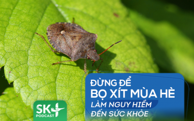 Podcast: Đừng để bọ xít mùa Hè làm nguy hiểm đến sức khỏe