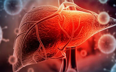 Bộ Y tế có hướng dẫn mới trong chẩn đoán, điều trị viêm gan virus B