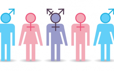 Hormone liệu có quyết định xu hướng tình dục?