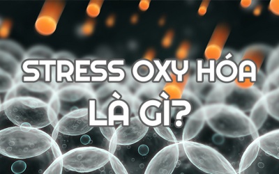 6 yếu tố làm gia tăng stress oxy hóa, tình trạng viêm trong cơ thể 