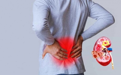 Thận yếu: Làm sao để bảo vệ chức năng thận? 