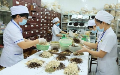 Xây dựng thương hiệu quốc gia cho Y học cổ truyền Việt Nam