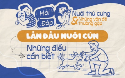 Những điều 'sen' cần biết khi lần đầu nuôi cún