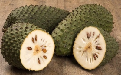 Lợi ích sức khoẻ của quả mãng cầu