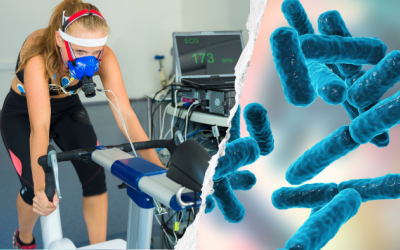 Men vi sinh có thể giúp tăng VO2 max, cải thiện sức bền