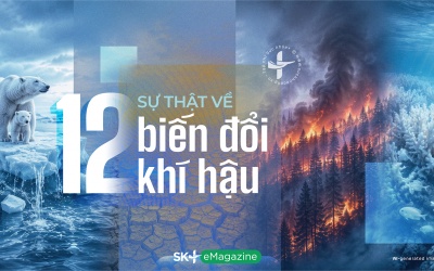 12 sự thật về biến đổi khí hậu