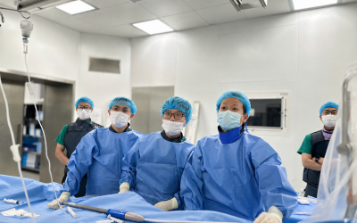 Bước tiến mới trong điều trị phình động mạch chủ phức tạp