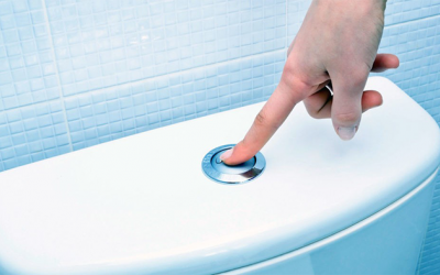 Xả nước bồn cầu có thể phát tán mầm bệnh