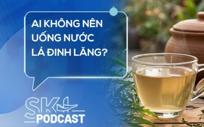 Podcast: Ai không nên uống nước lá đinh lăng?