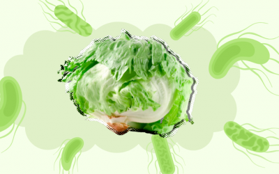 Bùng phát dịch Cyclospora ở Mỹ và bài học về an toàn thực phẩm từ cây xà lách