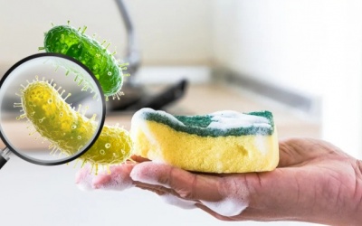 Làm sao để miếng rửa bát không thành ổ vi khuẩn?
