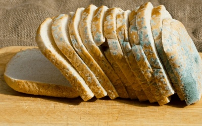 Mẹo bảo quản bánh mì không lo mốc