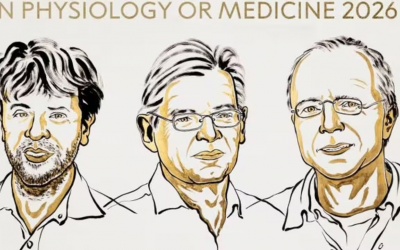 Nobel Y sinh 2026: Vinh danh 3 nhà khoa học dùng ánh sáng 'giải mã' não bộ