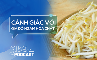 Podcast: Giá đỗ ngâm hóa chất nguy hiểm thế nào?