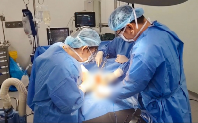 Chướng bụng nhẹ, người phụ nữ phát hiện khối u đầu tụy 12-13cm