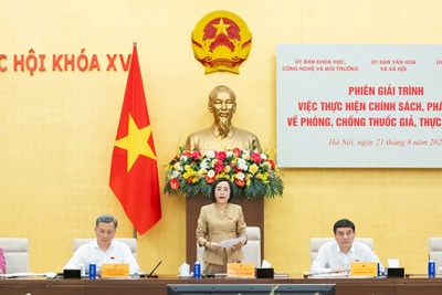 Thuốc giả không vào bệnh viện, thực phẩm giả tràn lan trên thị trường!