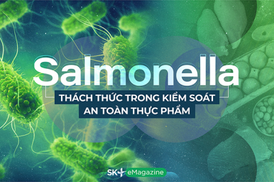 Salmonella - Thách thức trong kiểm soát an toàn thực phẩm 