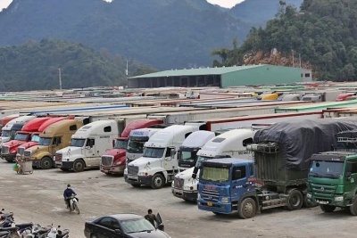 Thủ tướng chỉ đạo khẩn gỡ vướng Nghị định 46 về an toàn thực phẩm