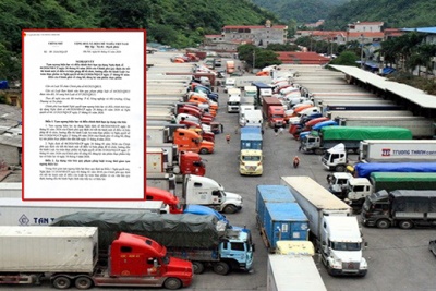 Chính phủ quyết định tạm ngưng hiệu lực và điều chỉnh thời hiệu Nghị định 46