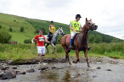 Bài học sức bền từ loài ngựa