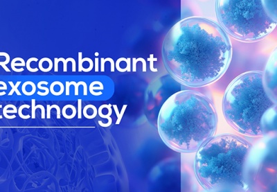 Recombinant exosome - Hướng đi mới trong nghiên cứu, hỗ trợ điều trị các bệnh mạn tính