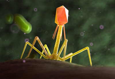 Công nghệ mới giúp tiêu diệt 99,9% vi khuẩn trong thực phẩm